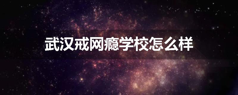 武汉戒网瘾学校怎么样