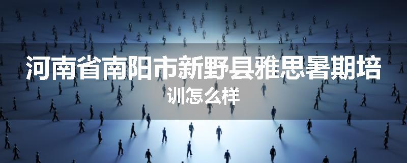 河南省南阳市新野县雅思暑期培训怎么样