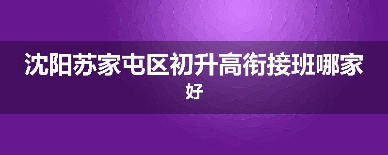 沈阳苏家屯区初升高衔接班哪家好