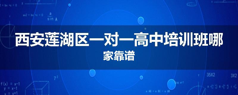西安莲湖区一对一高中培训班哪家靠谱
