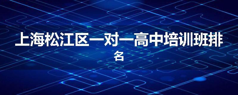 上海松江区一对一高中培训班排名
