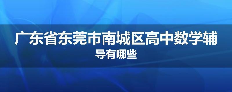 广东省东莞市南城区高中数学辅导有哪些