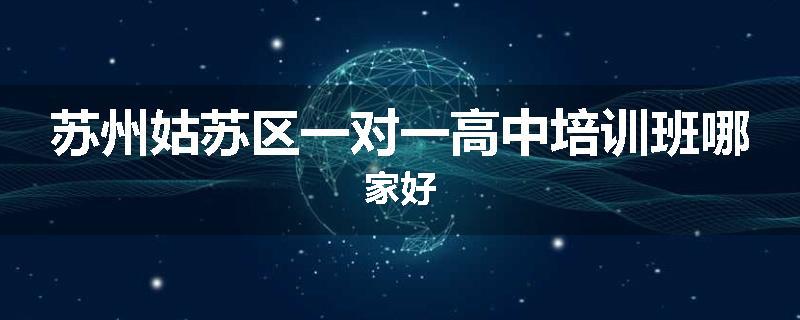 苏州姑苏区一对一高中培训班哪家好