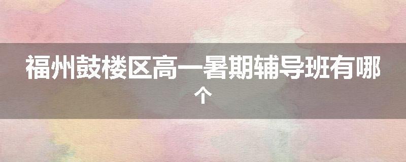 福州鼓楼区高一暑期辅导班有哪个