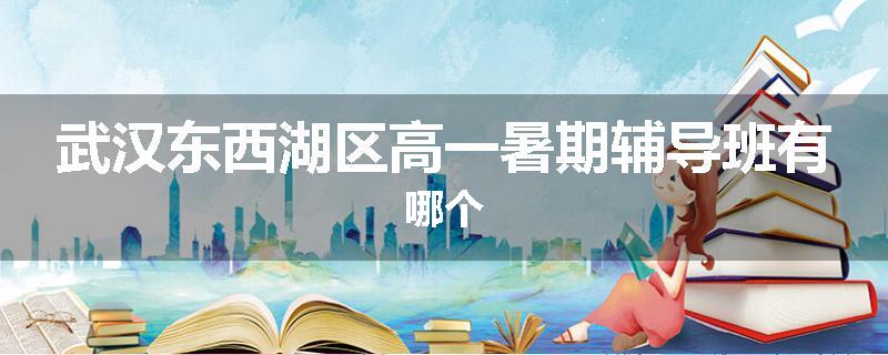 武汉东西湖区高一暑期辅导班有哪个