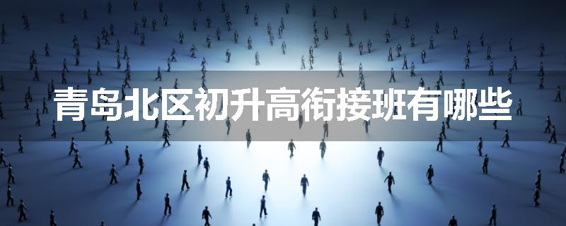青岛北区初升高衔接班有哪些