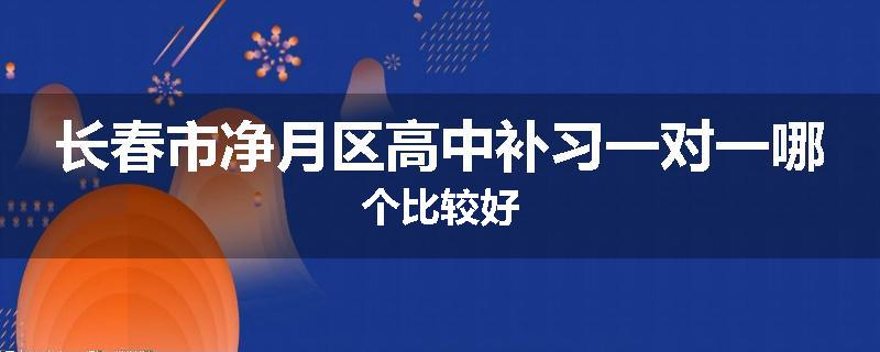 长春市净月区高中补习一对一哪个比较好