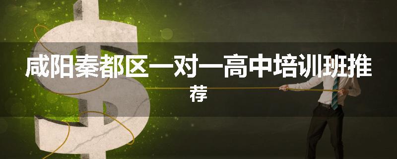 咸阳秦都区一对一高中培训班推荐