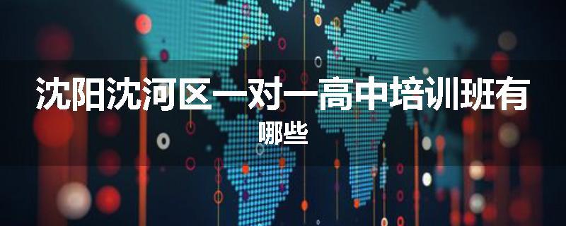 沈阳沈河区一对一高中培训班有哪些