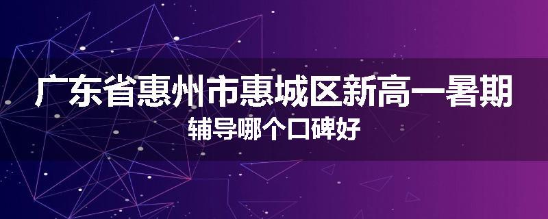 广东省惠州市惠城区新高一暑期辅导哪个口碑好