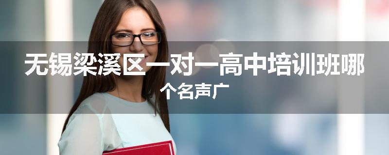 无锡梁溪区一对一高中培训班哪个名声广