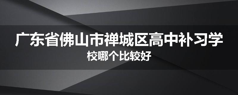 广东省佛山市禅城区高中补习学校哪个比较好