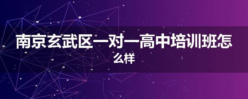 南京玄武区一对一高中培训班怎么样