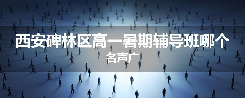 西安碑林区高一暑期辅导班哪个名声广