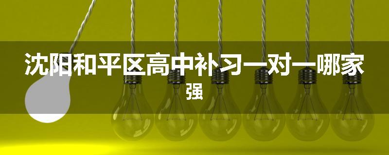 沈阳和平区高中补习一对一哪家强