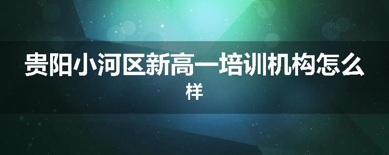 贵阳小河区新高一培训机构怎么样