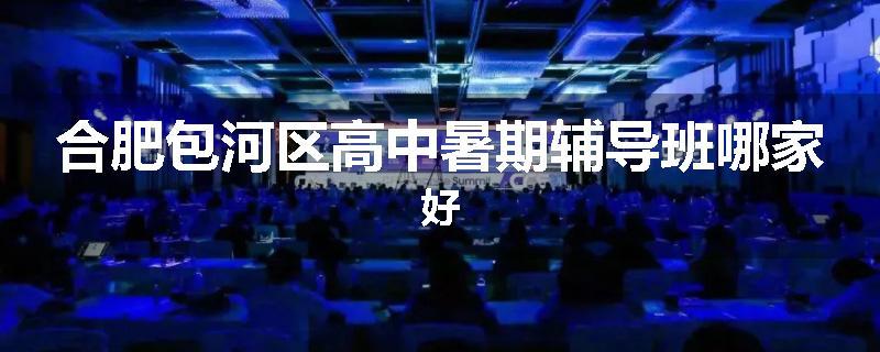 合肥包河区高中暑期辅导班哪家好