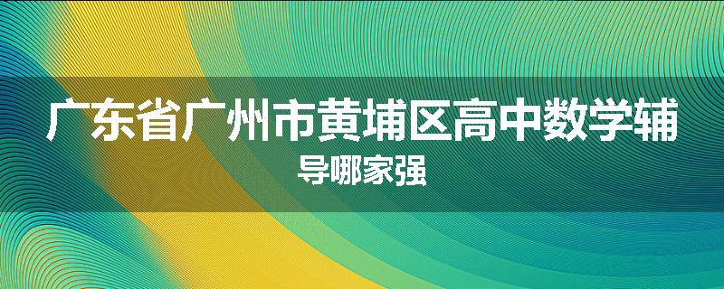 广东省广州市黄埔区高中数学辅导哪家强