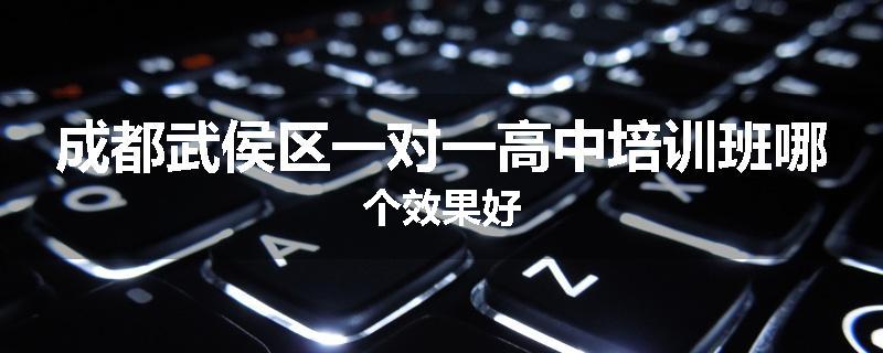 成都武侯区一对一高中培训班哪个效果好