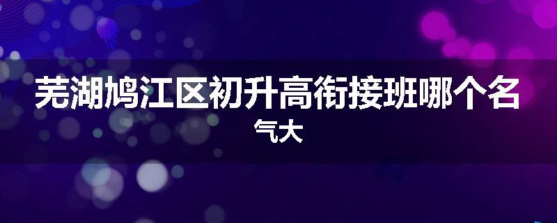 芜湖鸠江区初升高衔接班哪个名气大