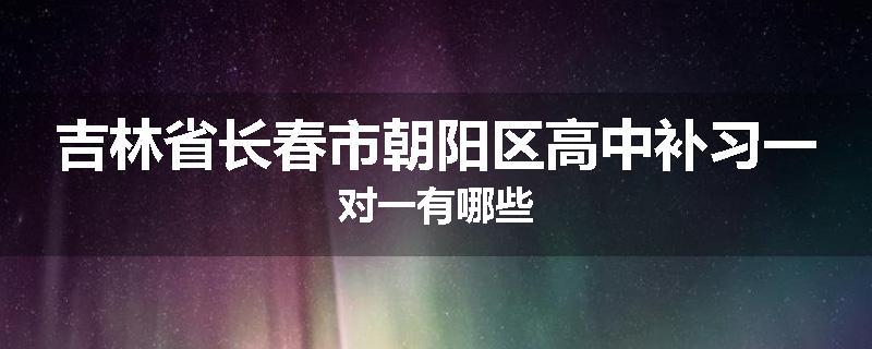 吉林省长春市朝阳区高中补习一对一有哪些