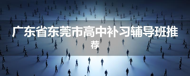 广东省东莞市高中补习辅导班推荐