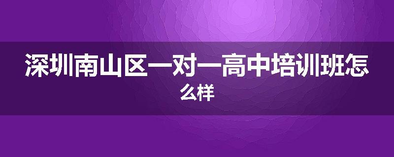 深圳南山区一对一高中培训班怎么样