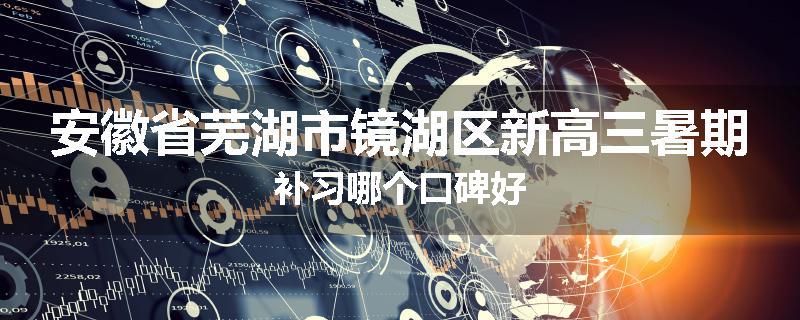 安徽省芜湖市镜湖区新高三暑期补习哪个口碑好