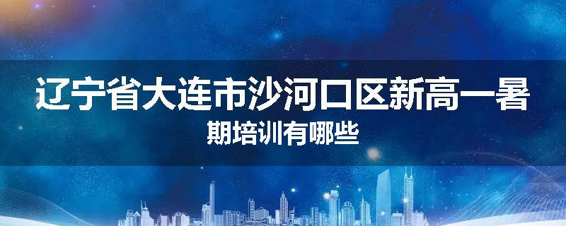 辽宁省大连市沙河口区新高一暑期培训有哪些