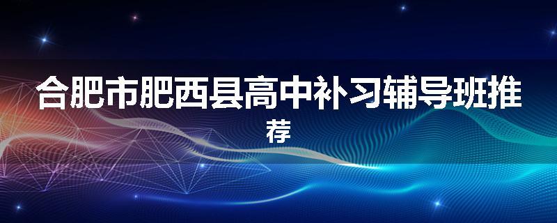 合肥市肥西县高中补习辅导班推荐