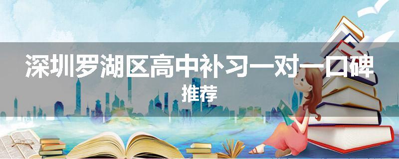 深圳罗湖区高中补习一对一口碑推荐