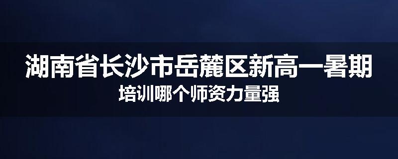 湖南省长沙市岳麓区新高一暑期培训哪个师资力量强