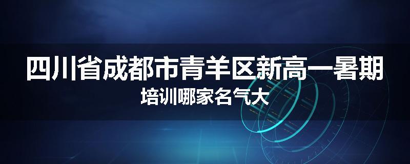 四川省成都市青羊区新高一暑期培训哪家名气大