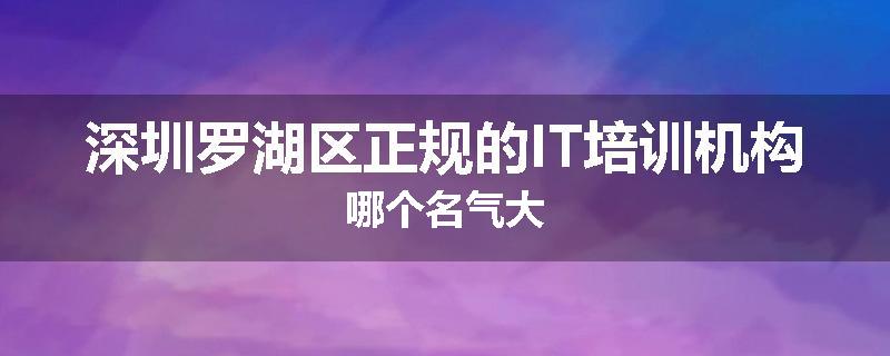 深圳罗湖区正规的IT培训机构哪个名气大