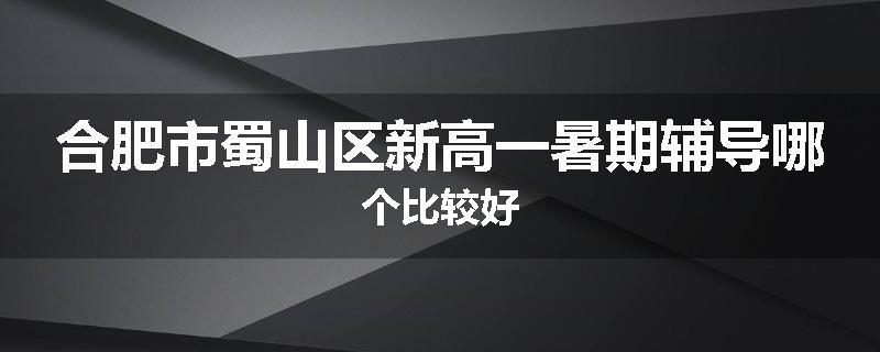 合肥市蜀山区新高一暑期辅导哪个比较好