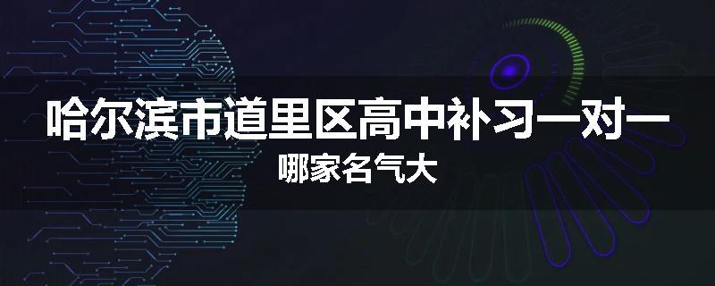 哈尔滨市道里区高中补习一对一哪家名气大