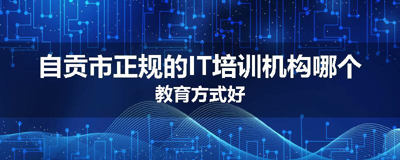 自贡市正规的IT培训机构哪个教育方式好
