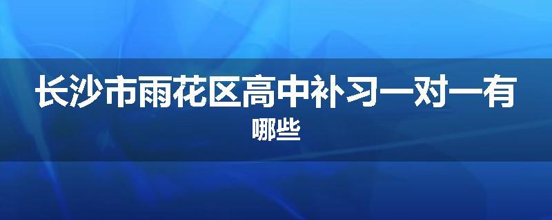 长沙市雨花区高中补习一对一有哪些