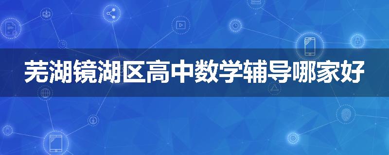 芜湖镜湖区高中数学辅导哪家好