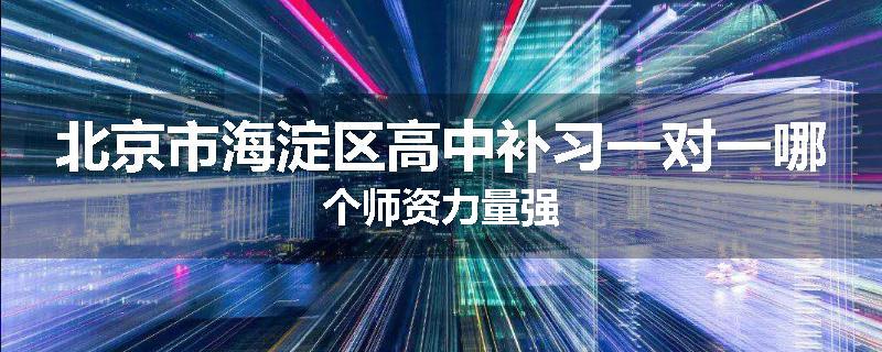 北京市海淀区高中补习一对一哪个师资力量强