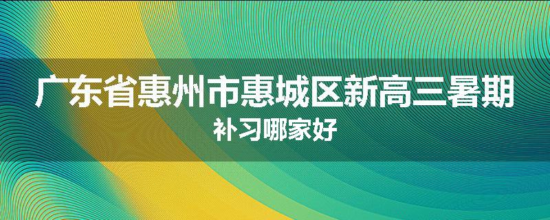 广东省惠州市惠城区新高三暑期补习哪家好