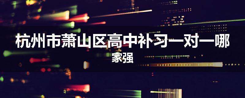 杭州市萧山区高中补习一对一哪家强