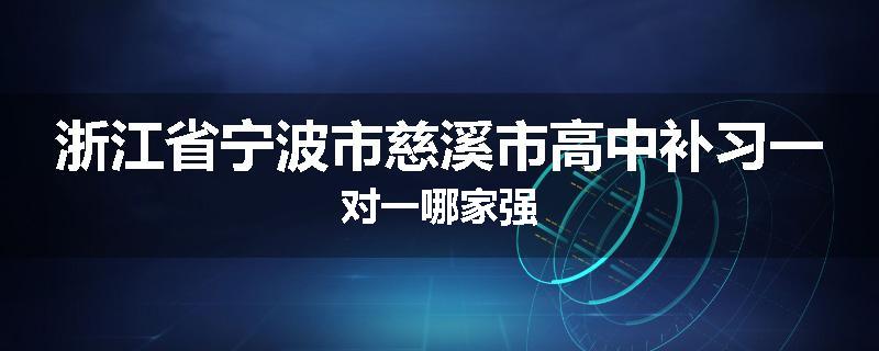 浙江省宁波市慈溪市高中补习一对一哪家强