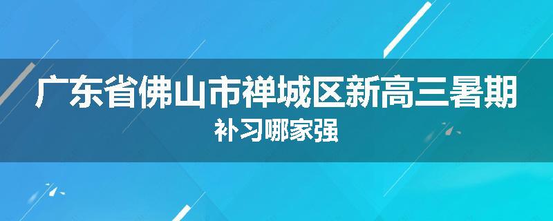 广东省佛山市禅城区新高三暑期补习哪家强