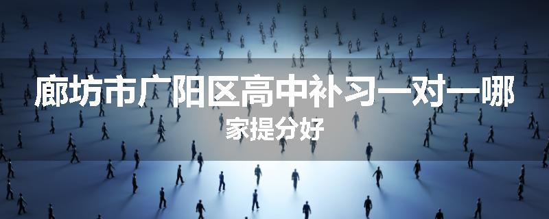 廊坊市广阳区高中补习一对一哪家提分好
