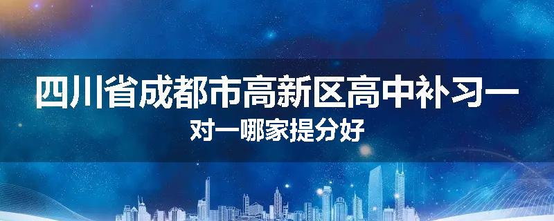 四川省成都市高新区高中补习一对一哪家提分好