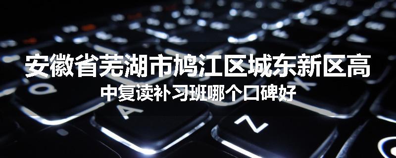 安徽省芜湖市鸠江区城东新区高中复读补习班哪个口碑好