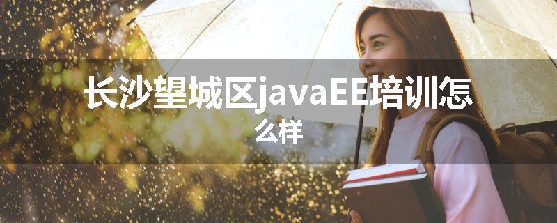 长沙望城区javaEE培训怎么样