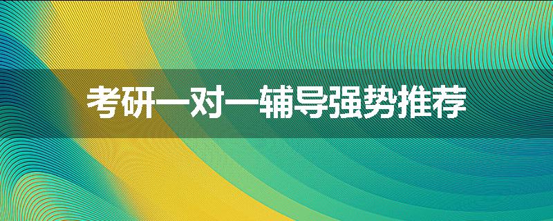 考研一对一辅导强势推荐