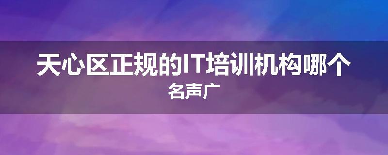 天心区正规的IT培训机构哪个名声广